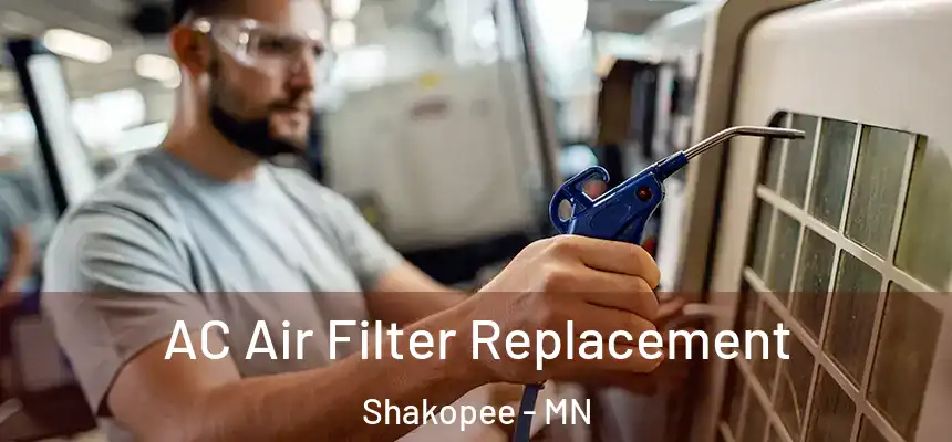  AC Air Filter Replacement Shakopee - MN