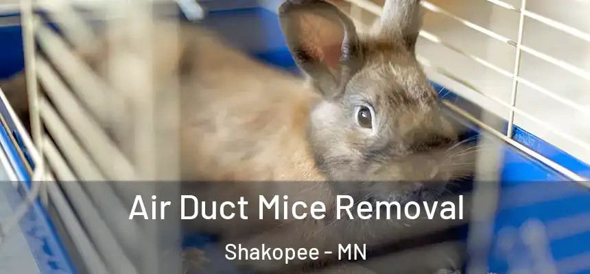 Air Duct Mice Removal Shakopee - MN