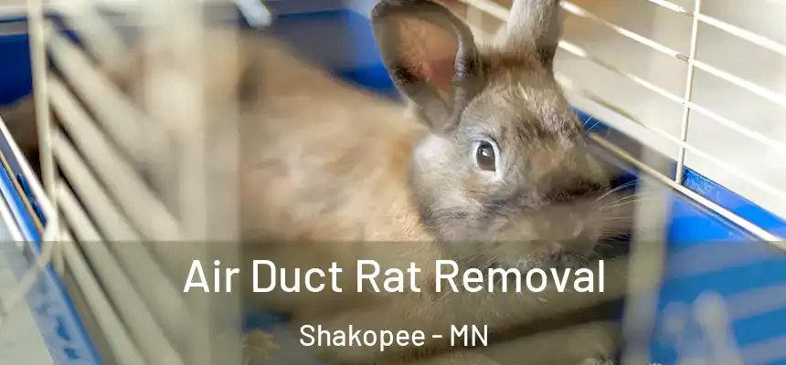 Air Duct Rat Removal Shakopee - MN