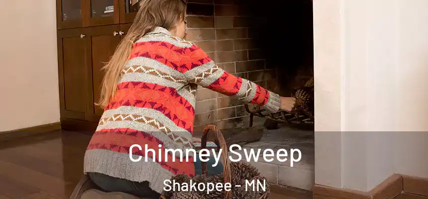 Chimney Sweep Shakopee - MN