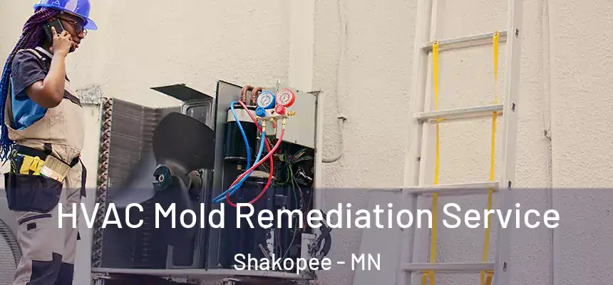  HVAC Mold Remediation Service Shakopee - MN