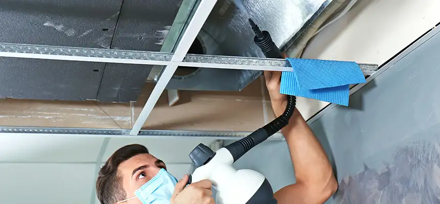 Our Air Duct Rodent Removal Services in Shakopee, MN