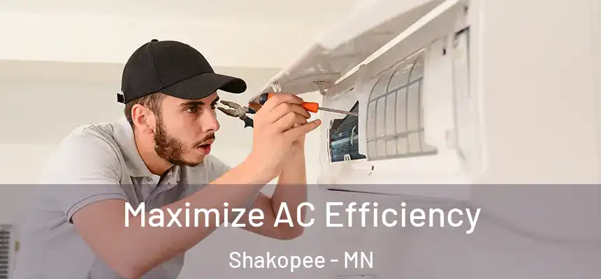 Maximize AC Efficiency Shakopee - MN