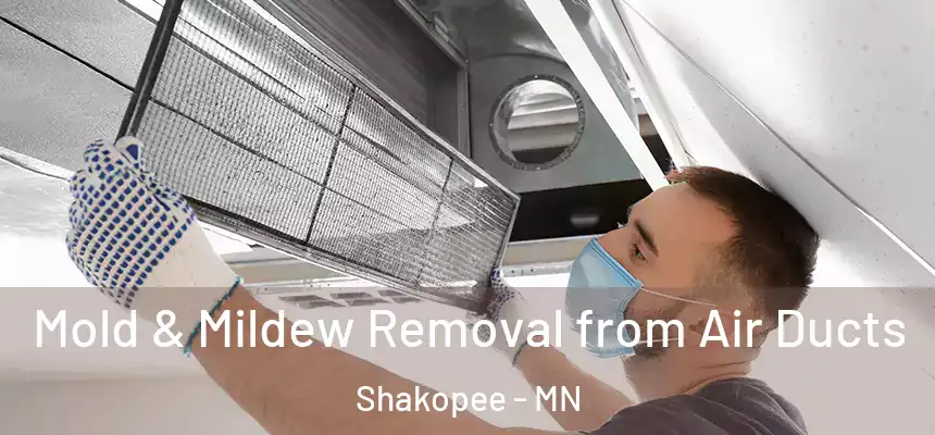 Mold & Mildew Removal from Air Ducts Shakopee - MN
