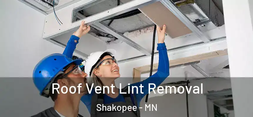 Roof Vent Lint Removal Shakopee - MN