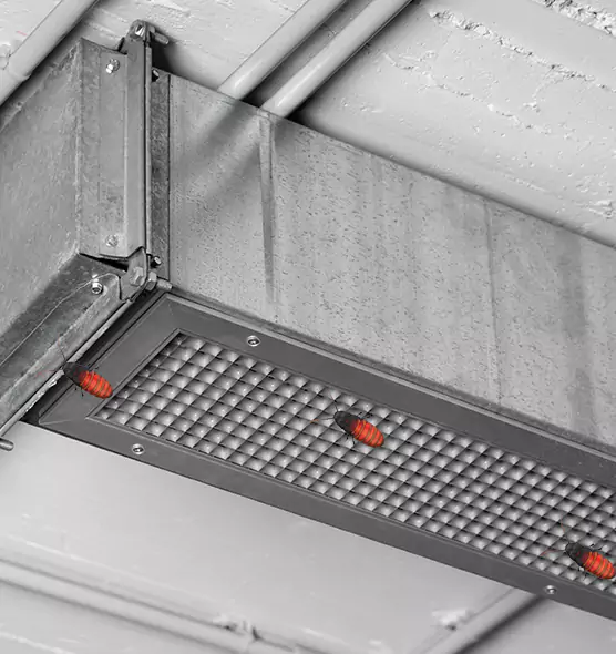 About Air Duct Cockroach Removal in Shakopee, MN