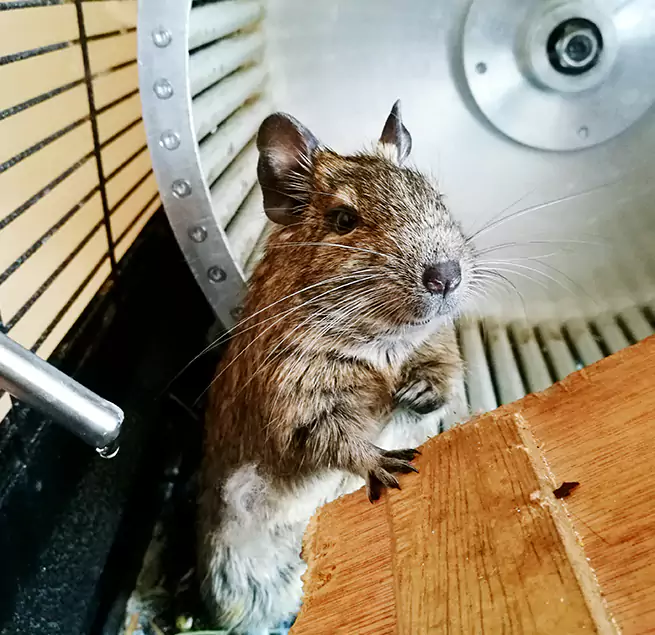 Why Homeowners & Businesses Trust Us Shakopee, MN