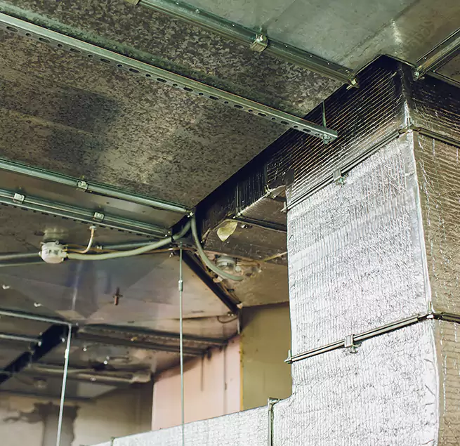 Why Homeowners & Businesses Trust Us in Shakopee, MN?